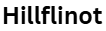 hillflinot.shop