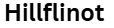 hillflinot.shop
